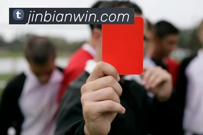 金边娱乐城官网平台生态图